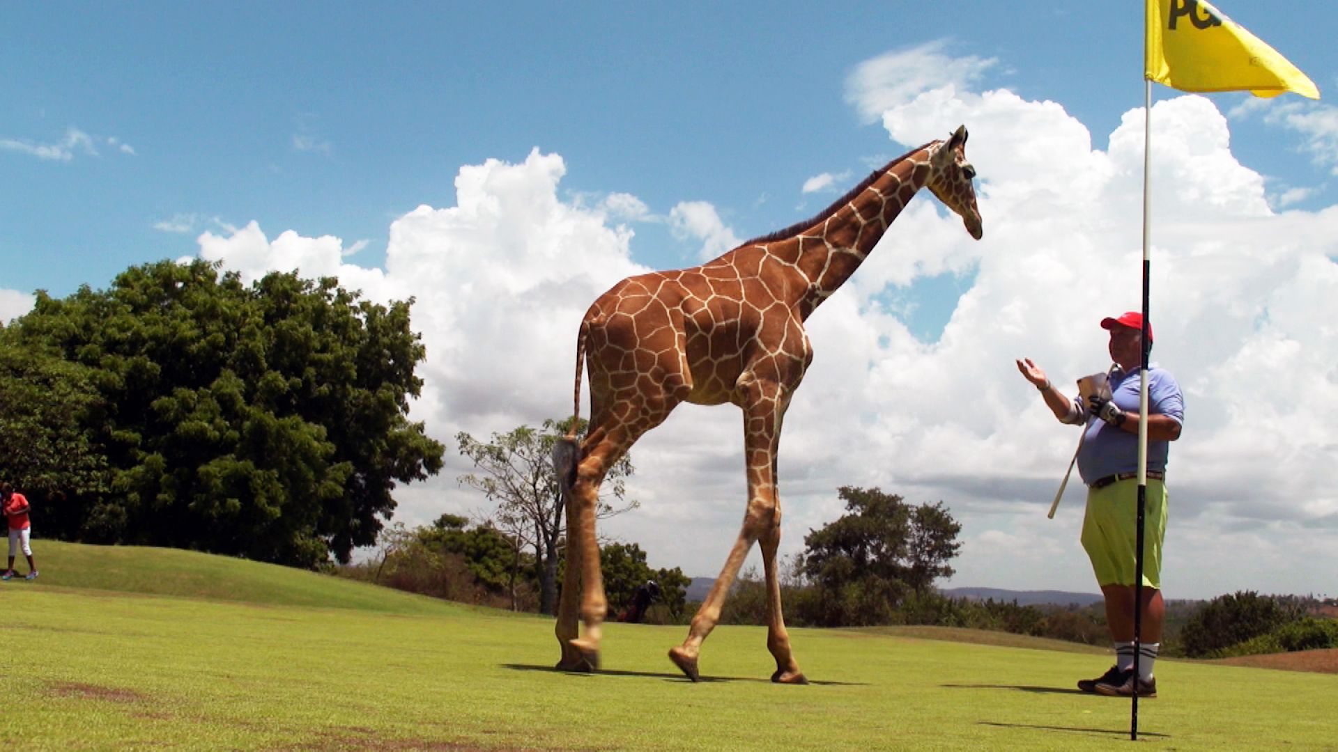 Image of African Golf Safari